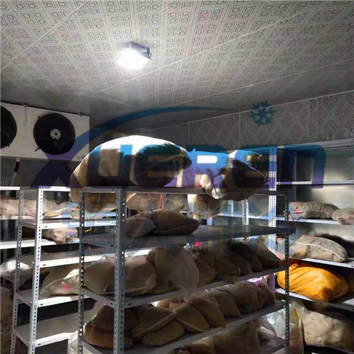 果蔬种子储存库