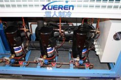 云南雪人涡旋并联机组