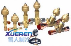 云南雪人电子膨胀阀