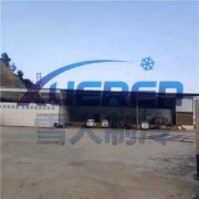 弥勒某某食品有限公司韭黄项目